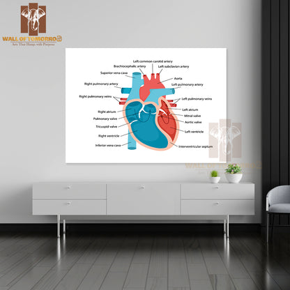 Heart Anatomy Close-Up with Descriptions. Cardiology Concept Educational High Quality Unframed Poster Print & Waterproof Poster Print Wall Décor