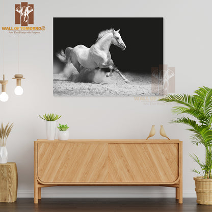 White Stallion on Black High Quality Unframed Poster Print & Waterproof Poster Print Wall Décor