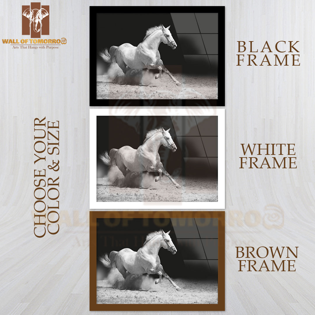 White Stallion on Black High Quality Glass Frame Wall Décor