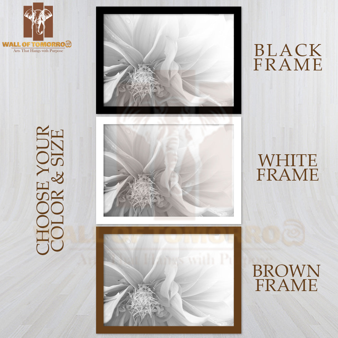 Petal Flower B&W Macro Photograph High Quality Unframed Poster Print & Waterproof Poster Print Wall Décor