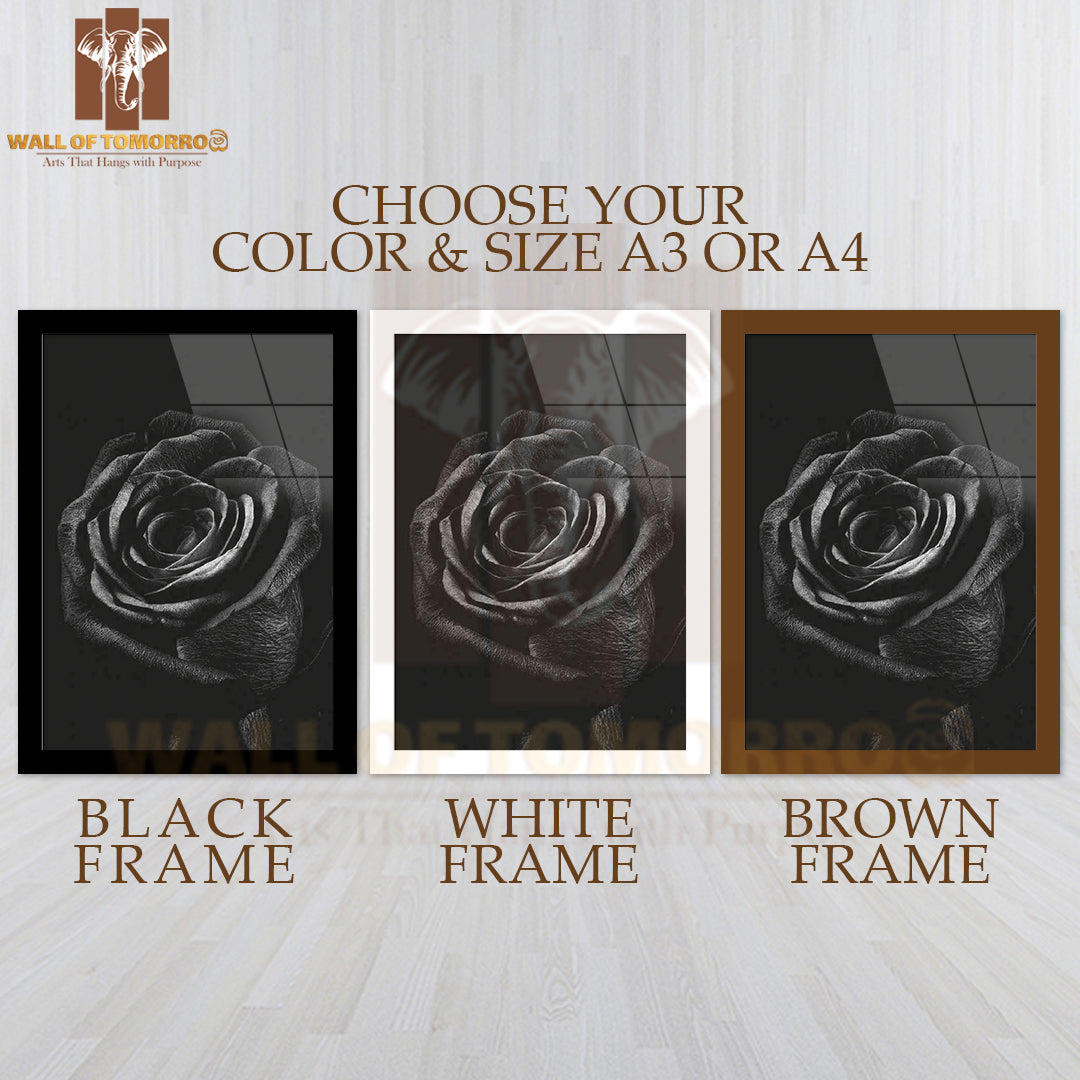 Black Rose Photography High Quality Glass Frame Wall Décor