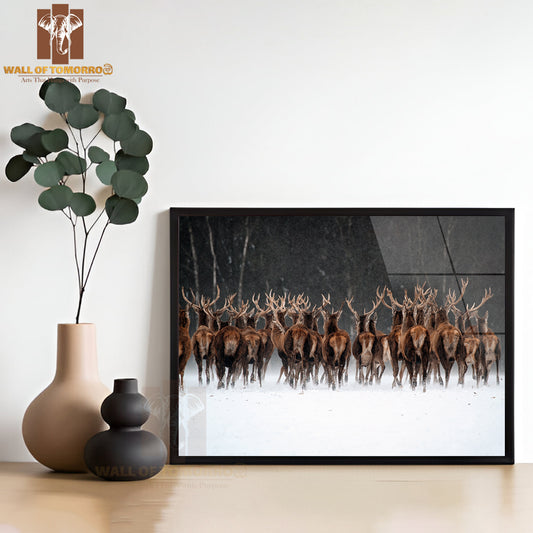 Red Deer Herd (Cervus Elaphus) In the Scottish Winter Snow High Quality Unframed Poster Print & Waterproof Poster Print Wall Décor
