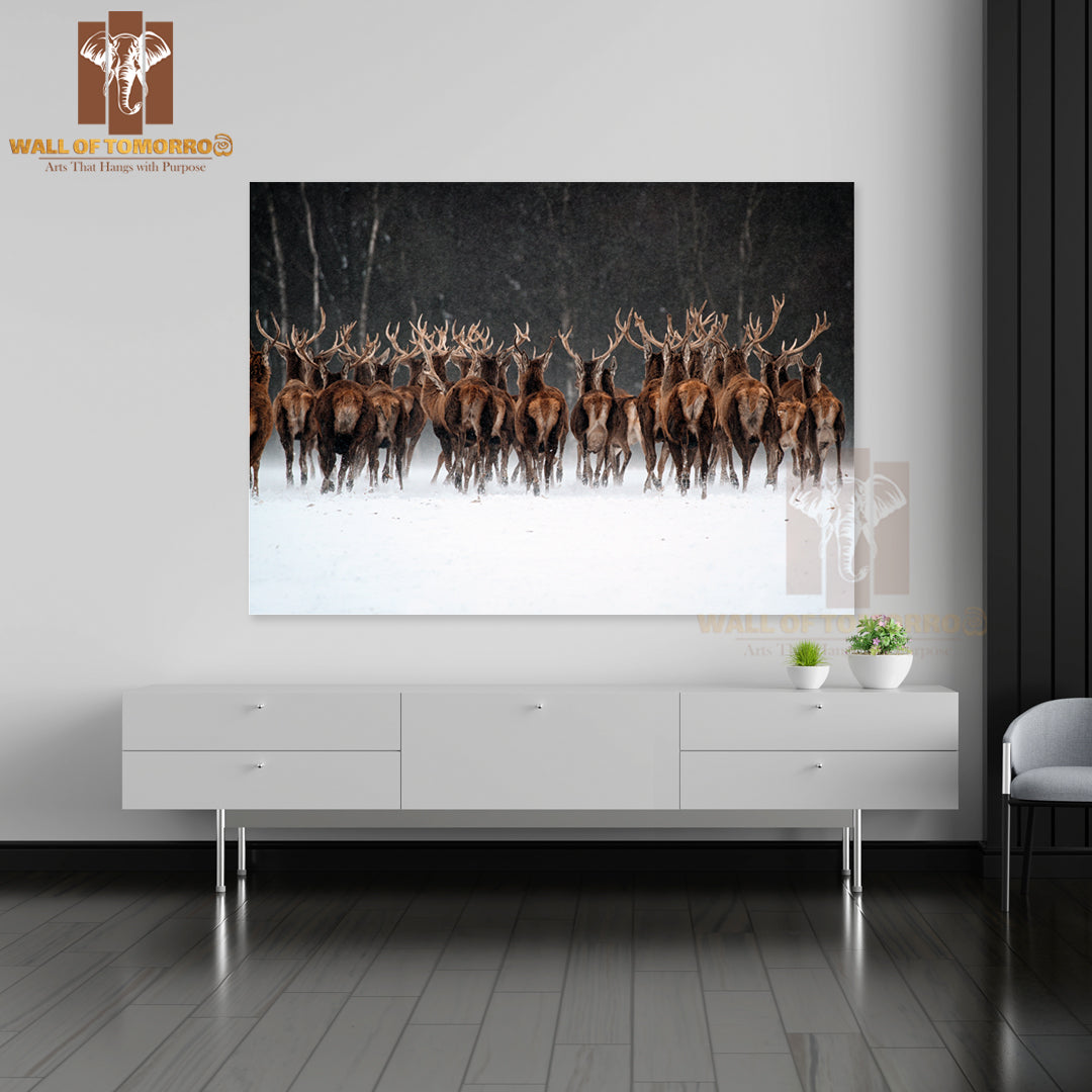 Red Deer Herd (Cervus Elaphus) In the Scottish Winter Snow High Quality Unframed Poster Print & Waterproof Poster Print Wall Décor