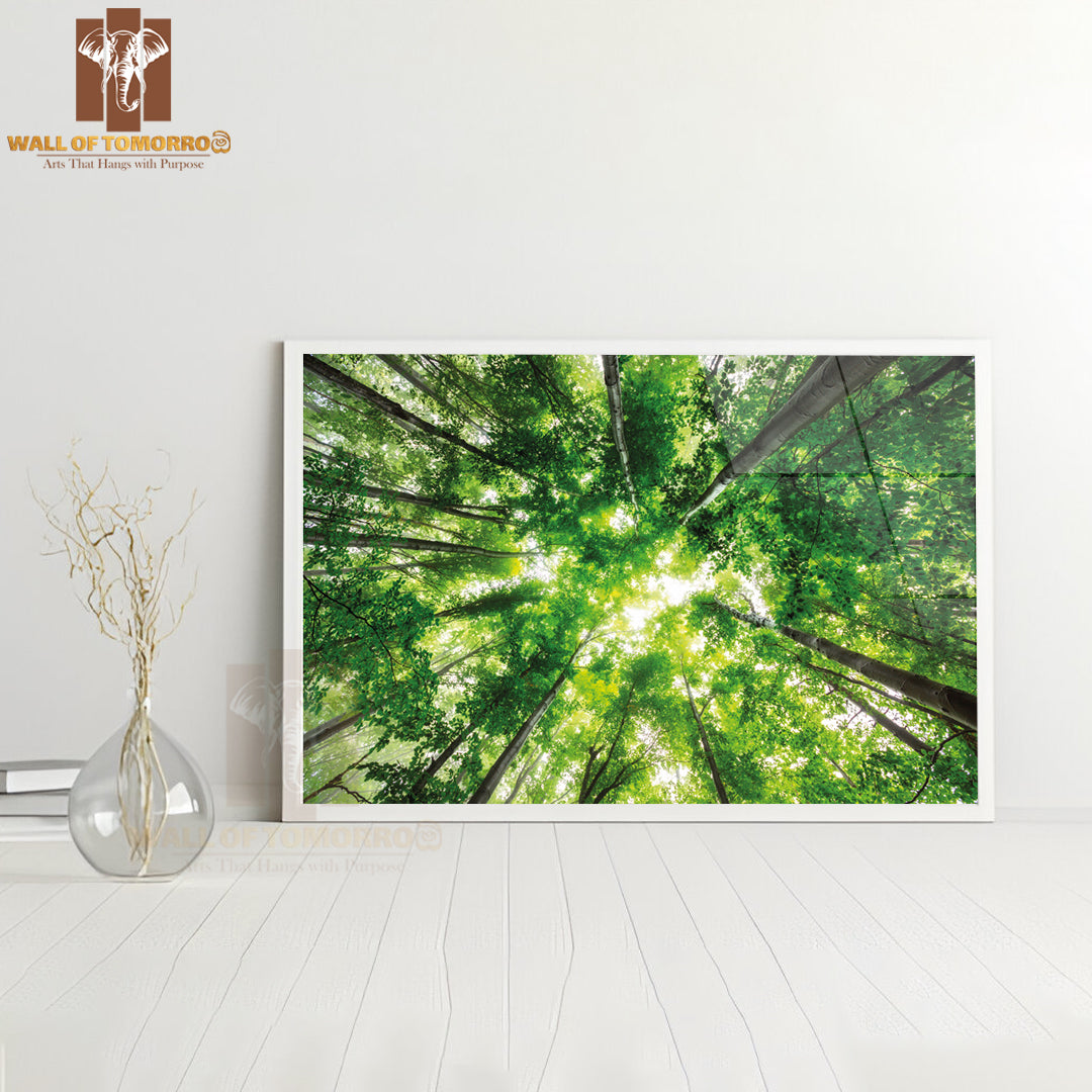 Morning In the Misty Spring Forest with Sunshine High Quality Unframed Poster Print & Waterproof Poster Print Wall Décor