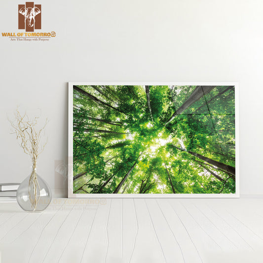 Morning In the Misty Spring Forest with Sunshine High Quality Unframed Poster Print & Waterproof Poster Print Wall Décor