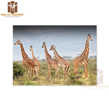 Masai Giraffe in Kenya, Africa High Quality Unframed Poster Print & Waterproof Poster Print Wall Décor