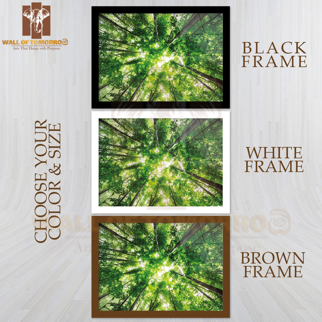 Morning In the Misty Spring Forest with Sunshine High Quality Unframed Poster Print & Waterproof Poster Print Wall Décor