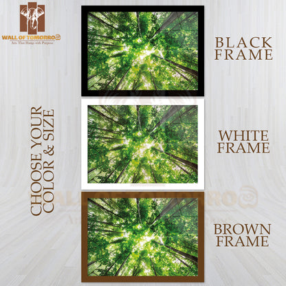 Morning In the Misty Spring Forest with Sunshine High Quality Unframed Poster Print & Waterproof Poster Print Wall Décor