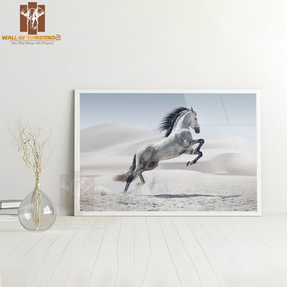 Wild White Horse in Desert Dust High Quality Unframed Poster Print & Waterproof Poster Print Wall Décor
