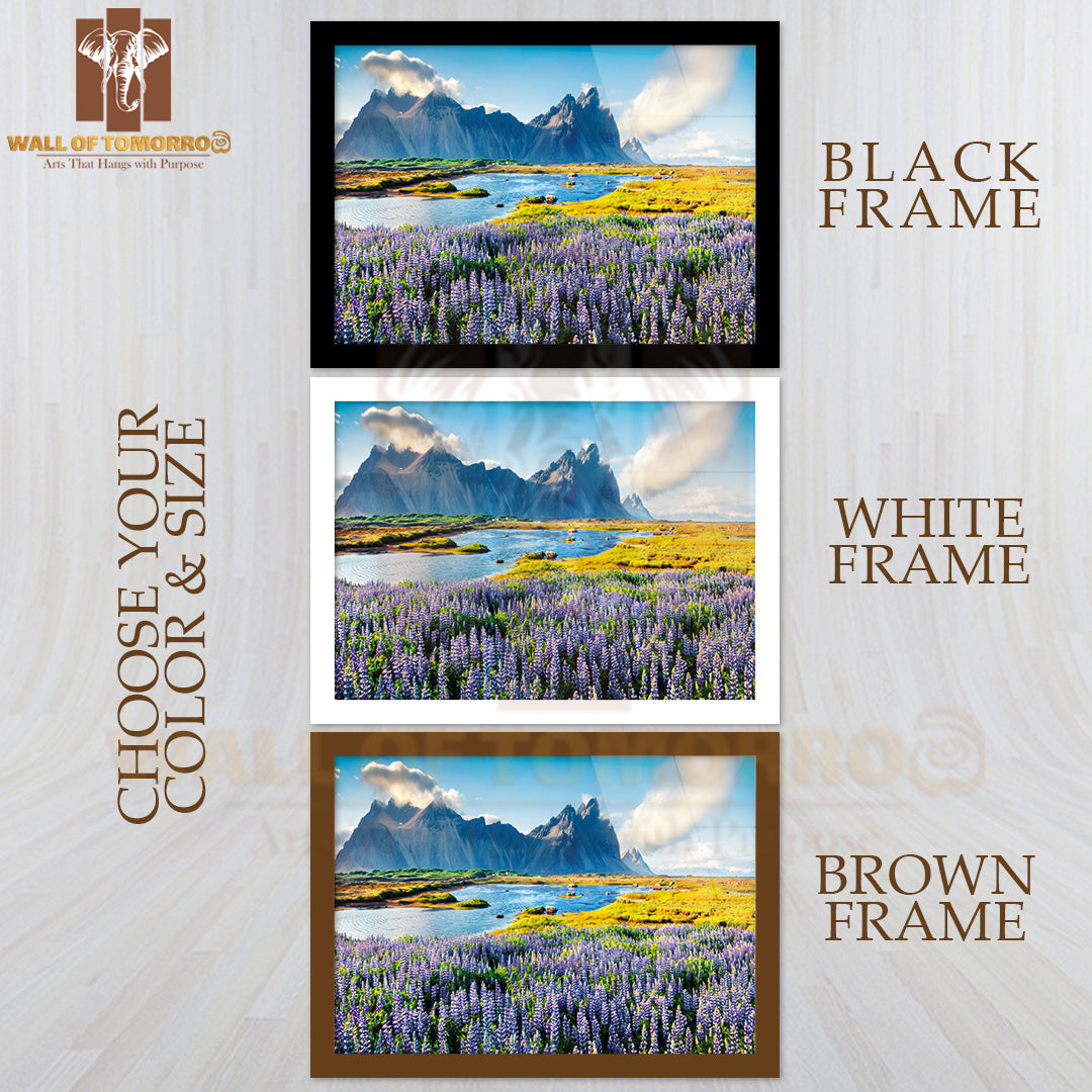 Blooming Lupine Flowers on the Stokksnes Headland High Quality Unframed Poster Print & Waterproof Poster Print Wall Décor