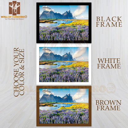 Blooming Lupine Flowers on the Stokksnes Headland High Quality Unframed Poster Print & Waterproof Poster Print Wall Décor
