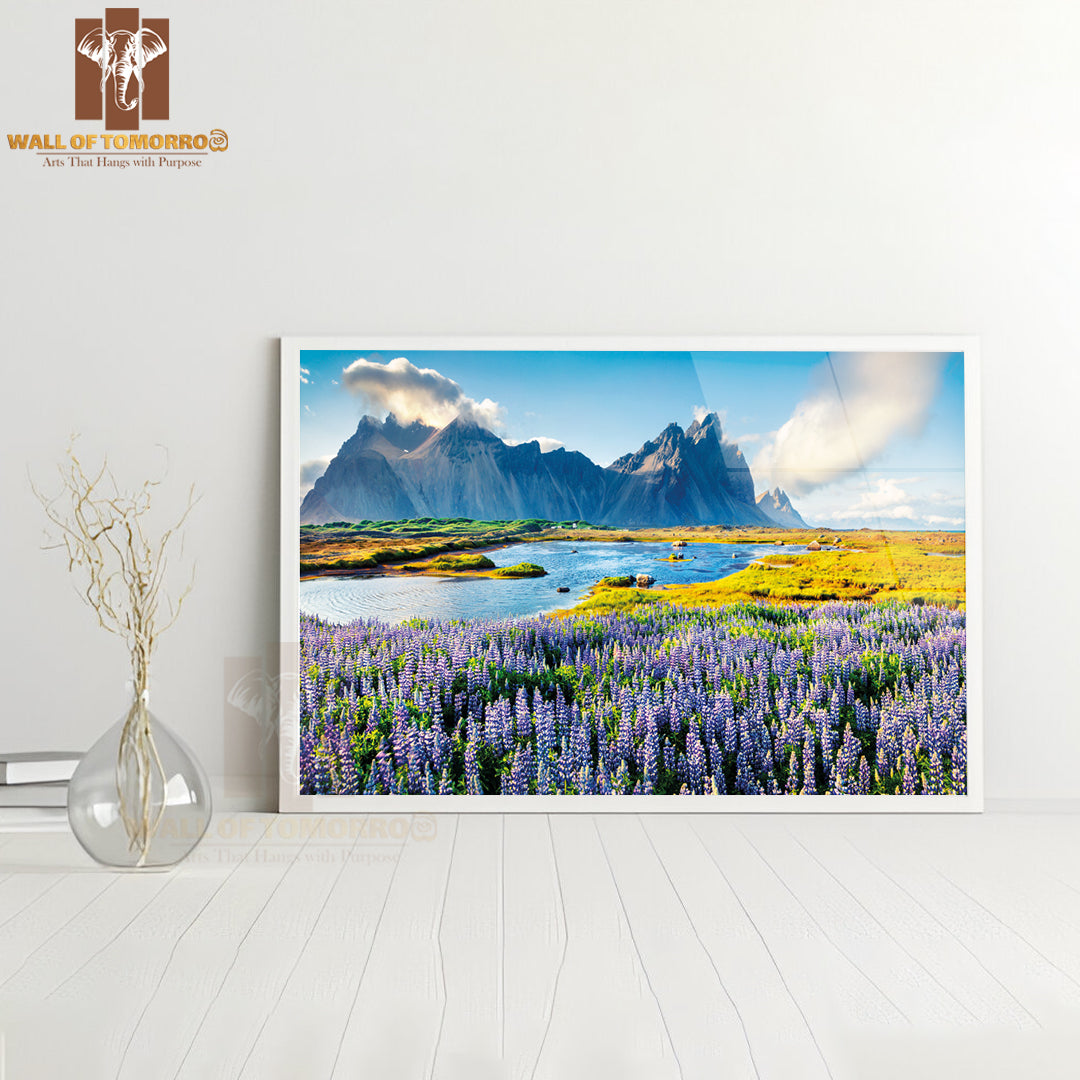 Blooming Lupine Flowers on the Stokksnes Headland High Quality Unframed Poster Print & Waterproof Poster Print Wall Décor