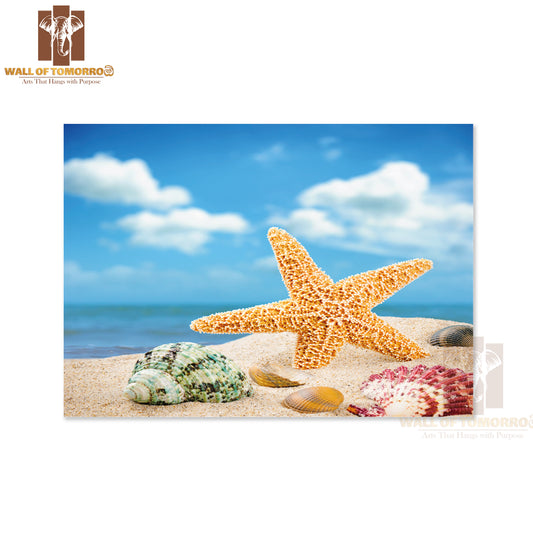 Sea Star and Colorful Shells on Coastline High Quality Unframed Poster Print & Waterproof Poster Print Wall Décor