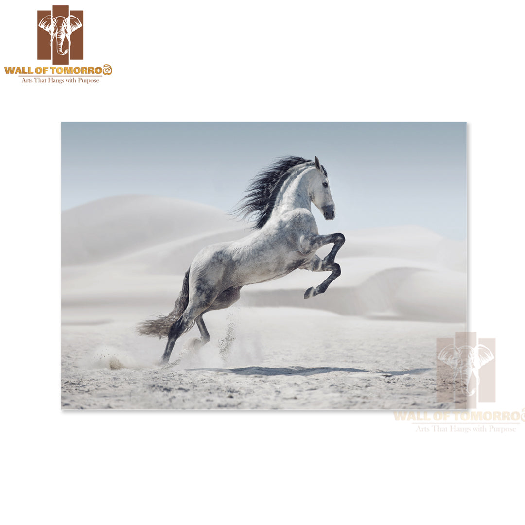 Wild White Horse in Desert Dust High Quality Unframed Poster Print & Waterproof Poster Print Wall Décor