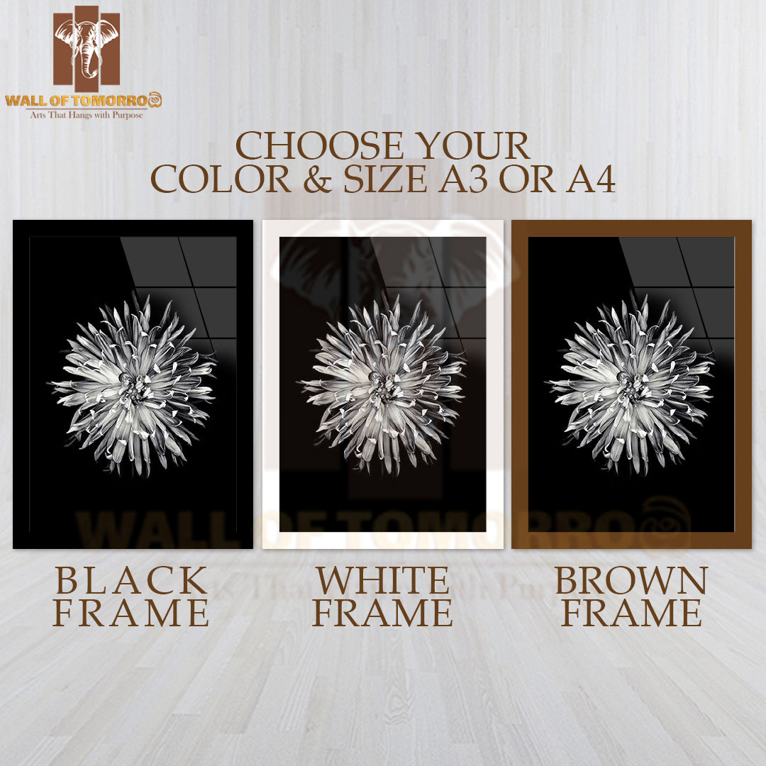 Dahlia Flower Closeup B&W High Quality Glass Frame Wall Décor