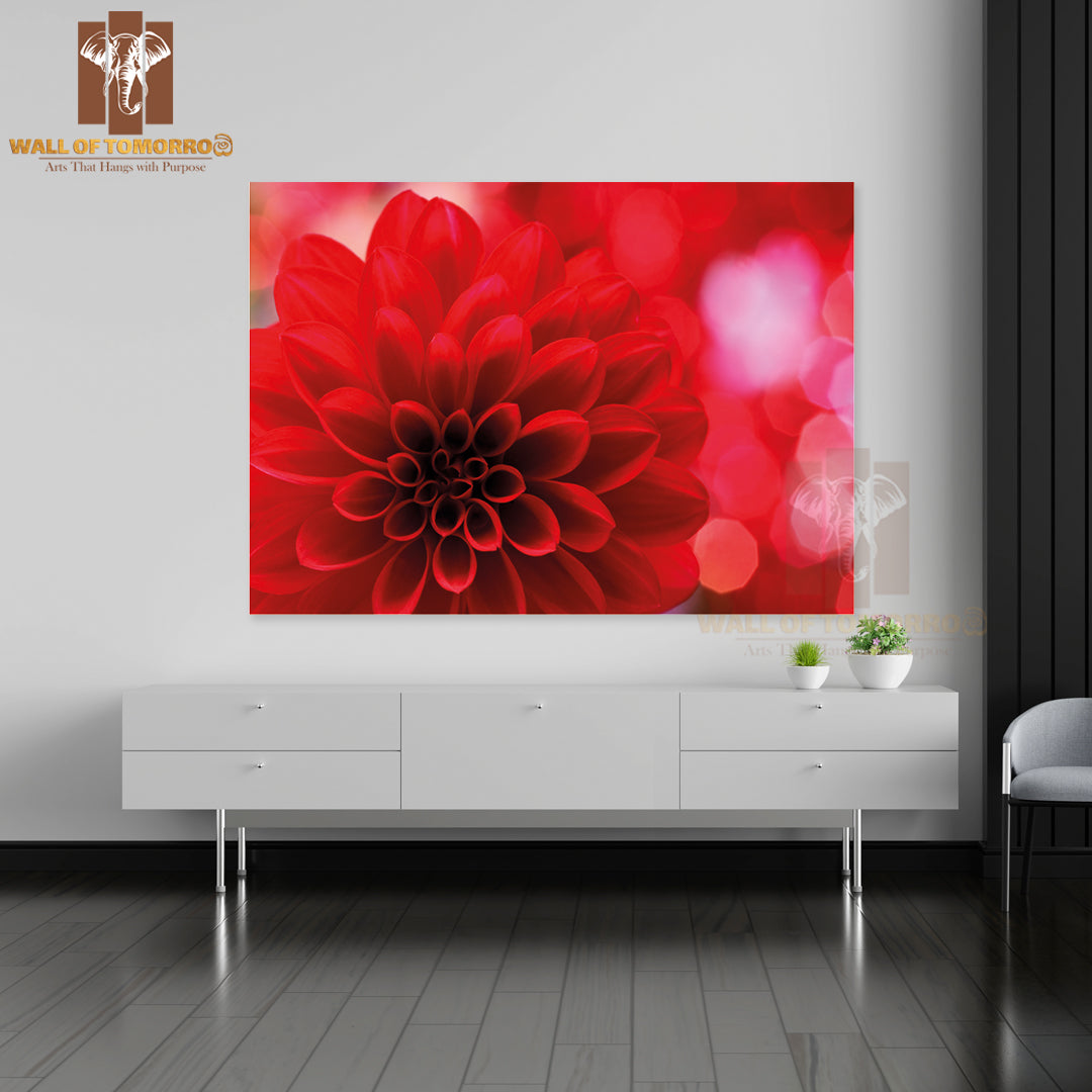 Closeup On Red Dahlia Flower High Quality Unframed Poster Print & Waterproof Poster Print Wall Décor