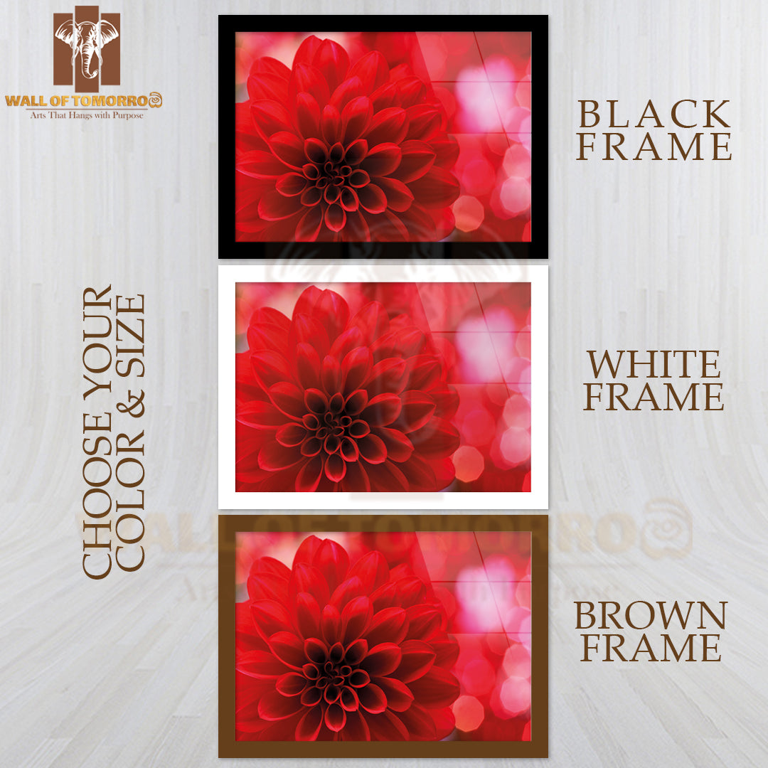 Closeup On Red Dahlia Flower High Quality Unframed Poster Print & Waterproof Poster Print Wall Décor