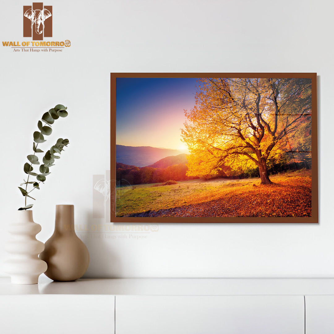 Majestic Alone Beech Tree on a Hill Slope with Sunny Beams at Mountain Valley High Quality Unframed Poster Print & Waterproof Poster Print Wall Décor