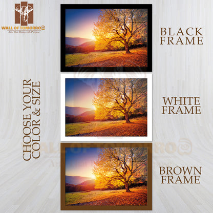 Majestic Alone Beech Tree on a Hill Slope with Sunny Beams at Mountain Valley High Quality Unframed Poster Print & Waterproof Poster Print Wall Décor