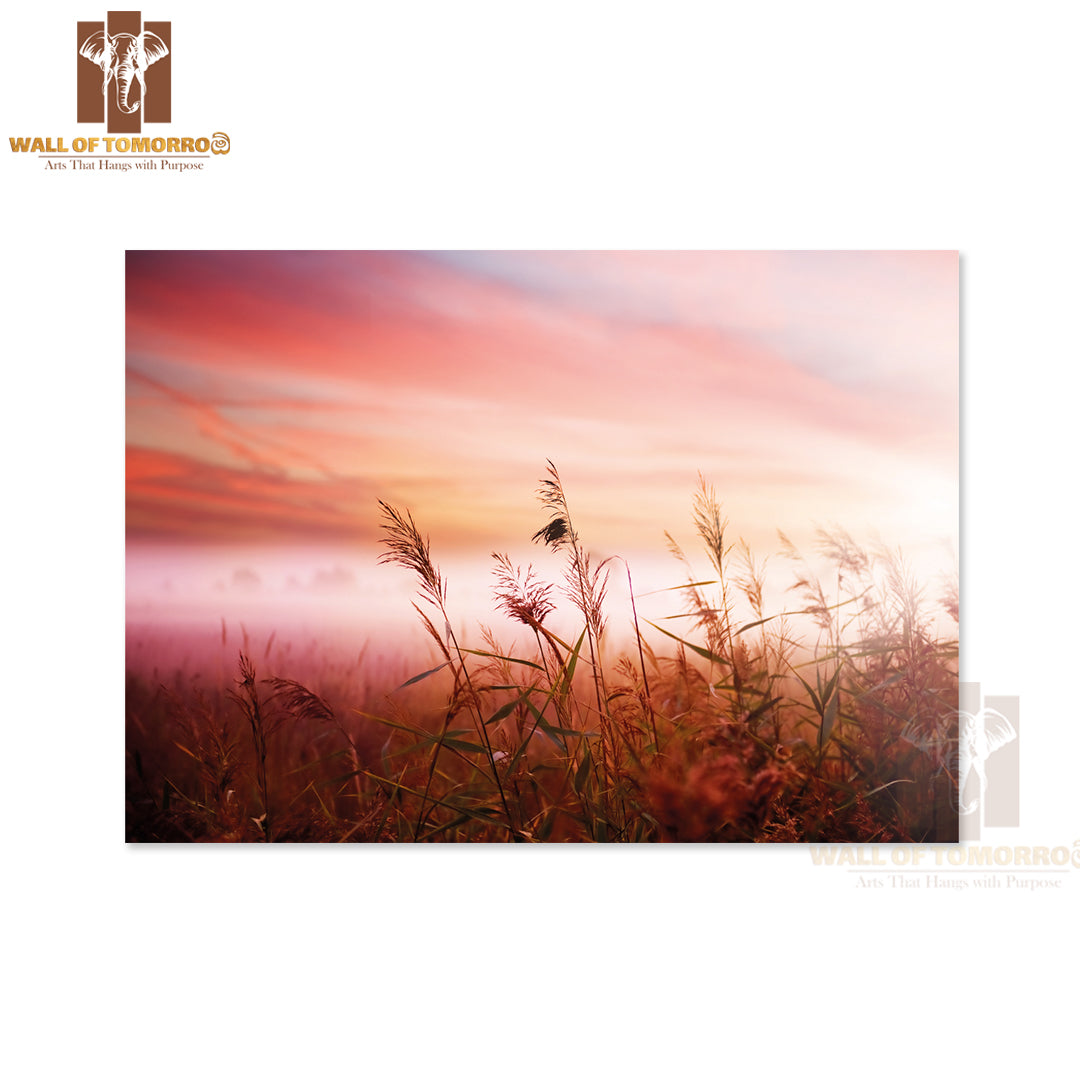 Foggy Early Morning Mist High Quality Unframed Poster Print & Waterproof Poster Print Wall Décor