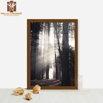 Yosemite Valley Forest High Quality Glass Frame Wall Décor
