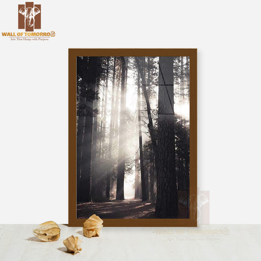 Yosemite Valley Forest High Quality Glass Frame Wall Décor