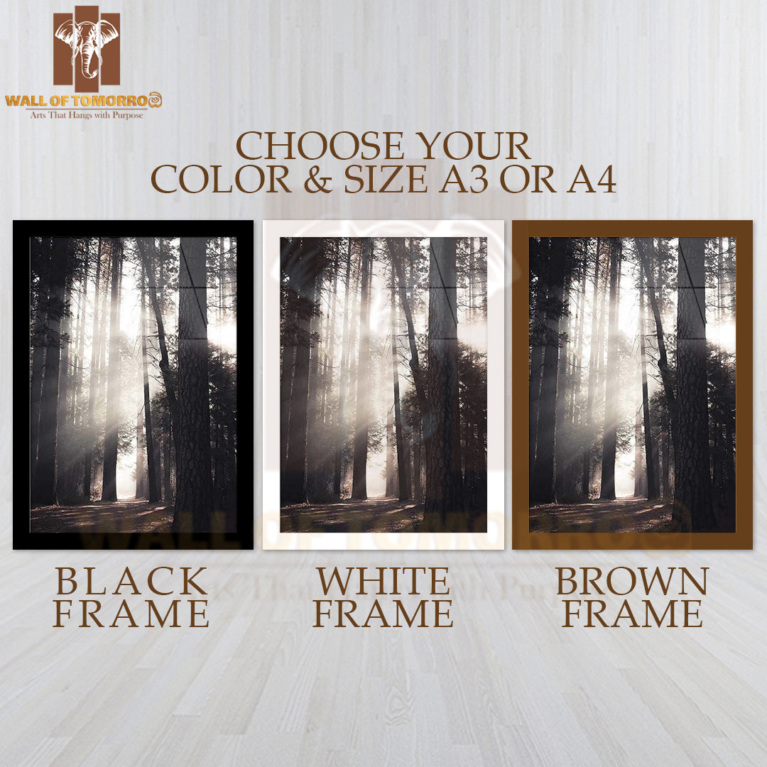 Yosemite Valley Forest High Quality Glass Frame Wall Décor