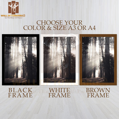 Yosemite Valley Forest High Quality Glass Frame Wall Décor