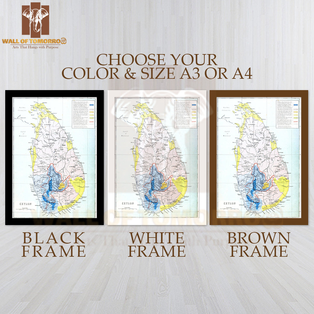 Ceylon Map 1880 High Quality Glass Frame Wall Décors in Sri Lanka
