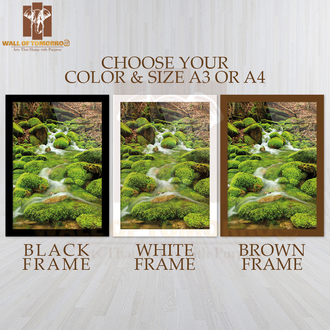 Mountain Stream Among the Mossy Stones High Quality Glass Frame Wall Décor