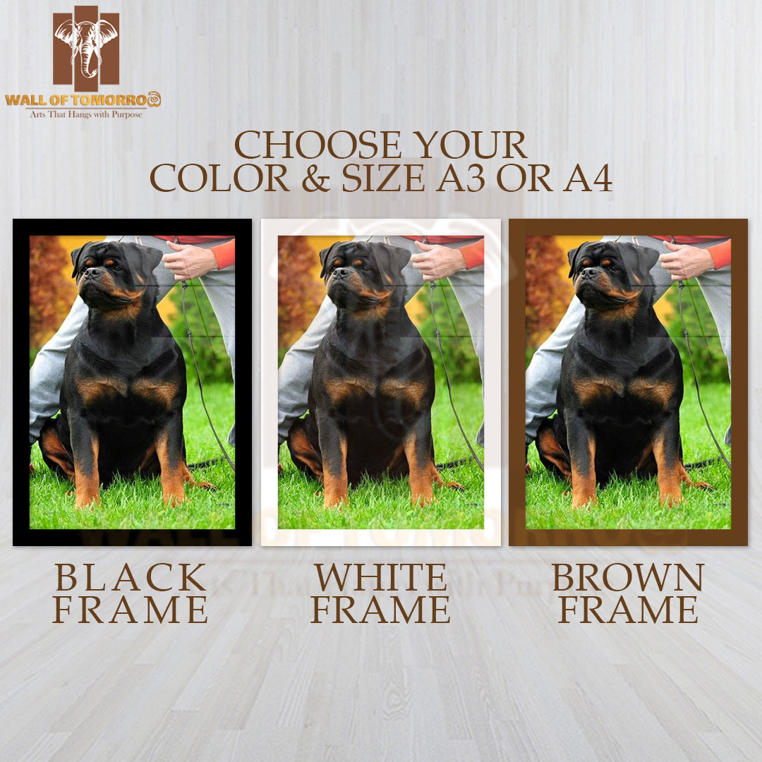Well Build Rottweiler High Quality Glass Frame Wall Décor