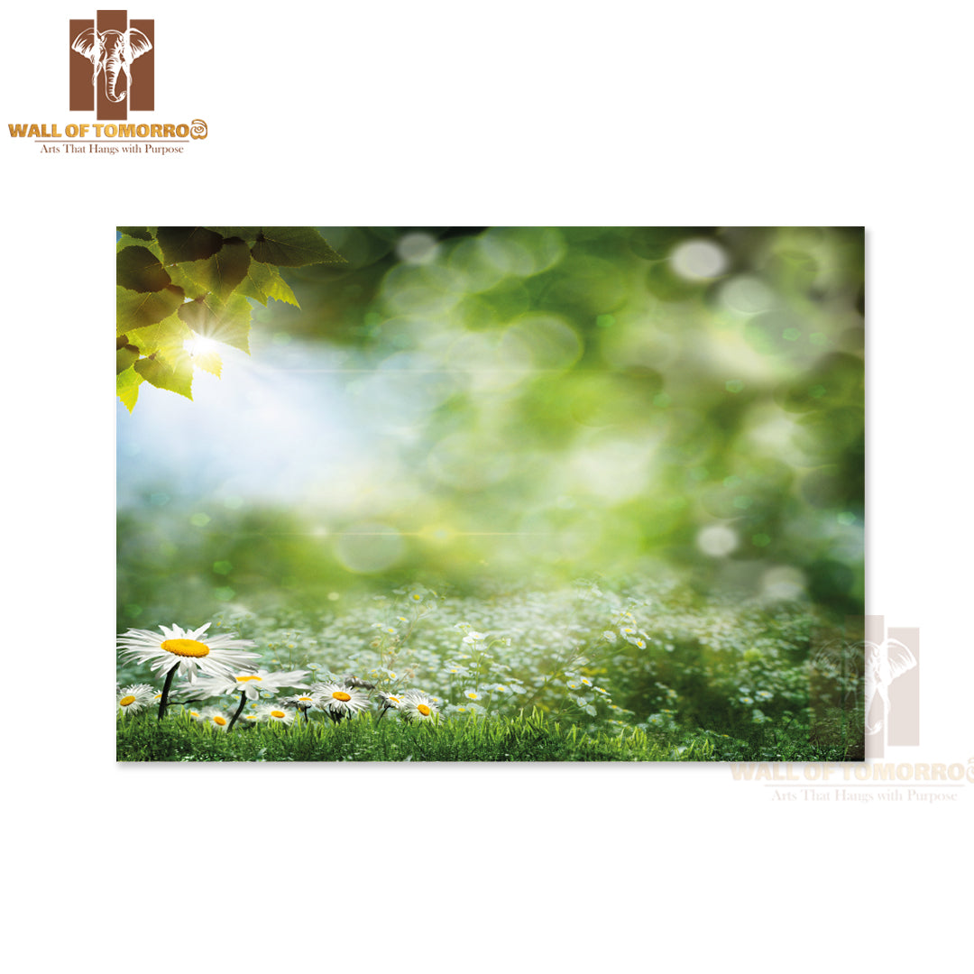 Seasonal Natural Backgrounds with Daisy Flowers High Quality Unframed Poster Print & Waterproof Poster Print Wall Décor