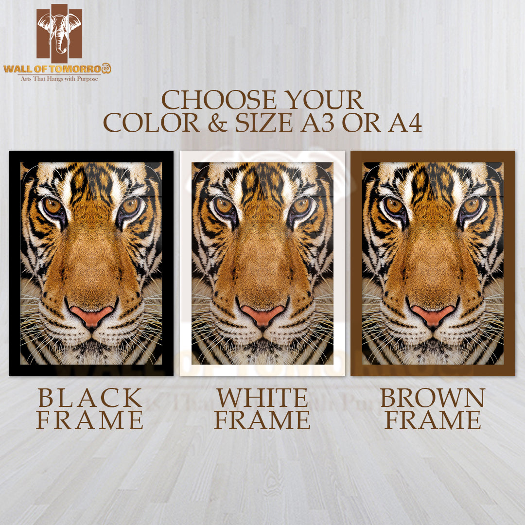 Close-Up Beautiful Face Portrait of Tiger High Quality Glass Frame Wall Décor