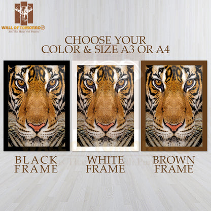 Close-Up Beautiful Face Portrait of Tiger High Quality Glass Frame Wall Décor