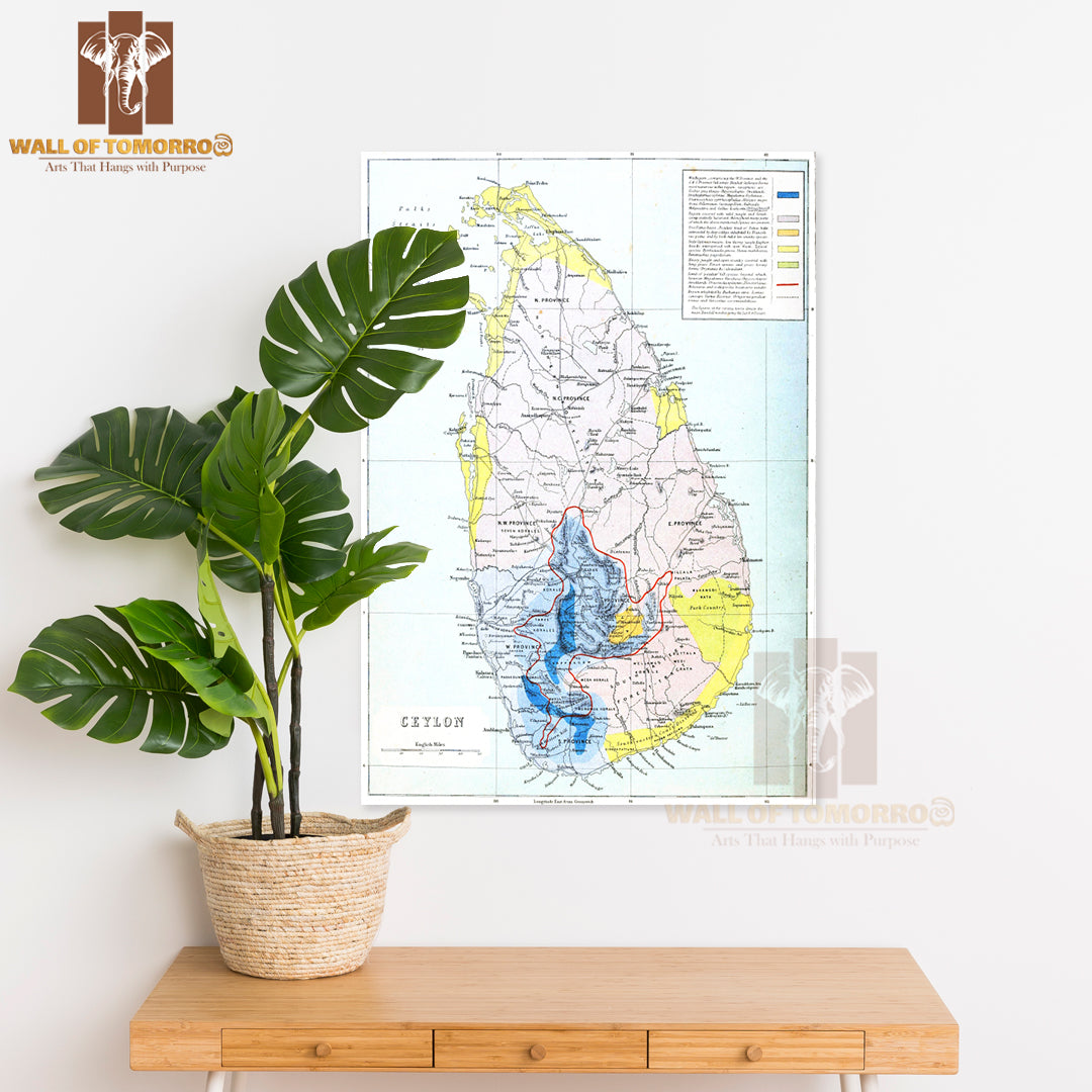 Ceylon Map 1880 High Quality Unframed Poster Print & Waterproof Poster Print Wall Décor in Sri Lanka