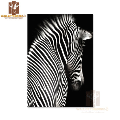 The Zebra is Facing Slightly Away From The Camera High Quality Unframed Poster Print & Waterproof Poster Print Wall Décor