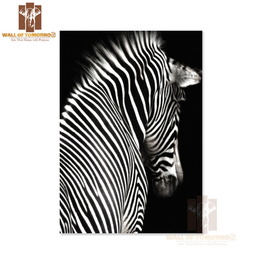 The Zebra is Facing Slightly Away From The Camera High Quality Unframed Poster Print & Waterproof Poster Print Wall Décor