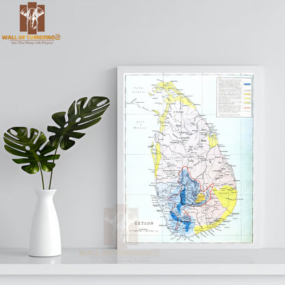 Ceylon Map 1880 High Quality Glass Frame Wall Décors in Sri Lanka
