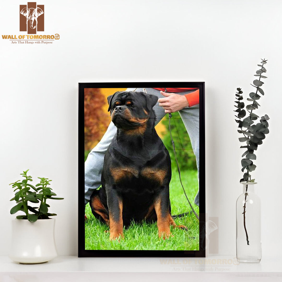 Well Build Rottweiler High Quality Glass Frame Wall Décor
