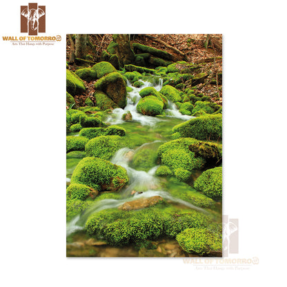 Mountain Stream Among the Mossy Stones High Quality Unframed Poster Print & Waterproof Poster Print Wall Décor