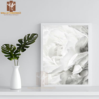 White Rose Flower Closeup High Quality Glass Frame Wall Décor