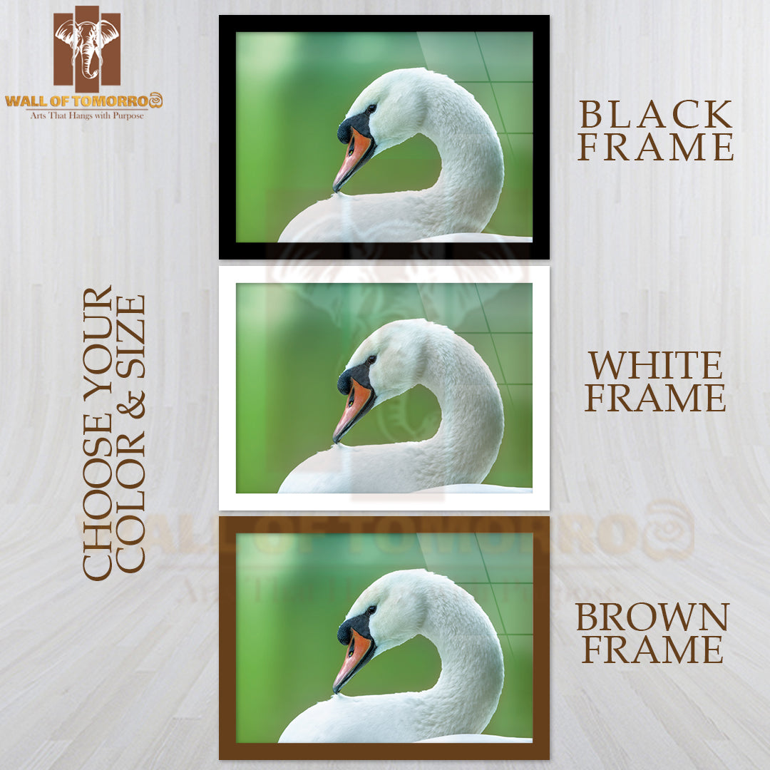 White Swan on a Green Background Close-Up High Quality Unframed Poster Print & Waterproof Poster Print Wall Décor