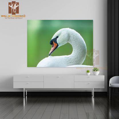 White Swan on a Green Background Close-Up High Quality Unframed Poster Print & Waterproof Poster Print Wall Décor