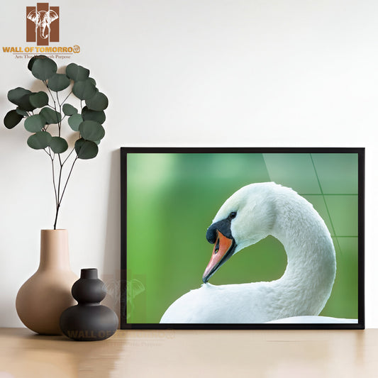 White Swan on a Green Background Close-Up High Quality Unframed Poster Print & Waterproof Poster Print Wall Décor