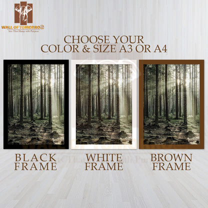Sunbeam Forest High Quality Glass Frame Wall Décor