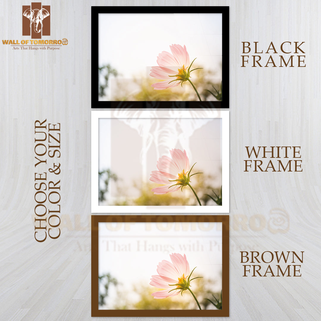 Closeup Natural View of Pink Flower Under Summer Sunlight in Garden High Quality Unframed Poster Print & Waterproof Poster Print Wall Décor