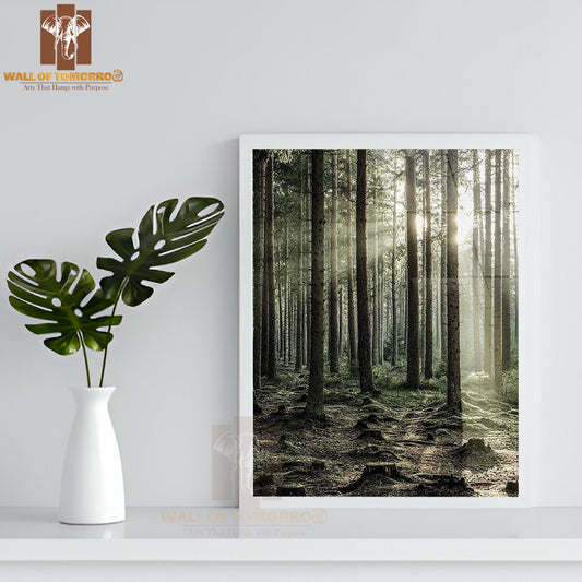 Sunbeam Forest High Quality Glass Frame Wall Décor