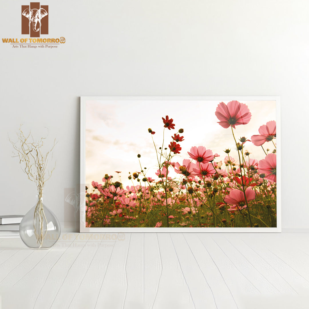 Cosmos Flowers In Sunset High Quality Glass Frame Wall Décor