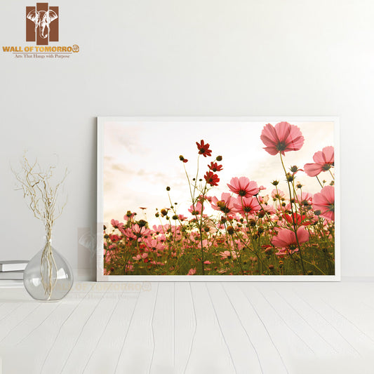 Cosmos Flowers In Sunset High Quality Glass Frame Wall Décor