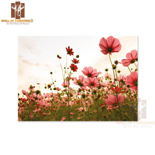 Cosmos Flowers In Sunset High Quality Unframed Poster Print & Waterproof Poster Print Wall Décor
